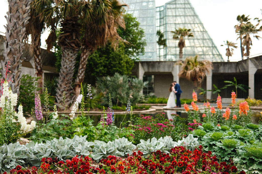 Bright flowers frame a bride and groom in the background in the courtyard of Lucile Halsell Conservatory