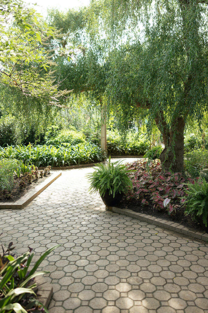 A concrete tile path winding around plants inside the Sacred Garden at The San Antonio Botanical Garden