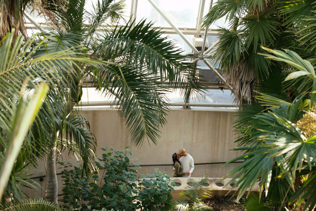 Couple kissing surrounded by palms from high above inside the palm and cycad pavilion
